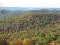 Autumn in Virginia